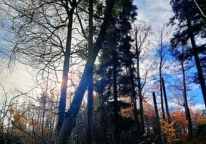 20251106 113922-EFFECTS